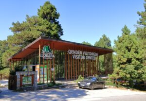 The llogara national park in albania