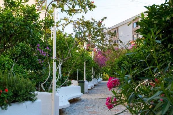 Bougainville Bay Hotel in Sarande the garden of the hotel