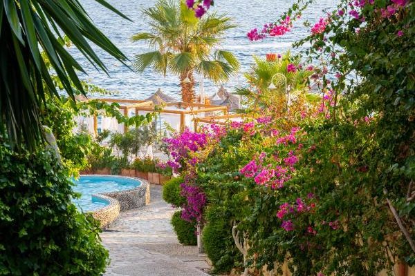 Bougainville Bay Hotel in Sarande the garden of the hotel